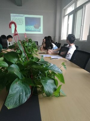 江蘇景寧信息技術(shù) 專(zhuān)業(yè)信息技術(shù)咨詢(xún)服務(wù)的領(lǐng)航者